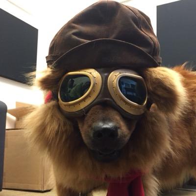 Creative Director at Toys For Bob: Crash Team Rumble, Crash 4, Skylanders, DJ Hero