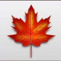 Red Maple P.S. (@redmapleps1) 's Twitter Profile