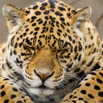 er_move's profile picture. Guadalajara-Tlajomulco, 4:20.  https://t.co/d7ALovFzv2