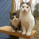 Breanna Raymond - @I_Love_Flash15 - Twitter