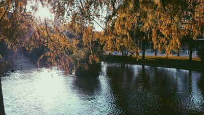 JennyVAP's profile picture. 18. Estudiante de Bellas Artes . Find something that makes you happy and dont let anyone take it away from you. Photography.