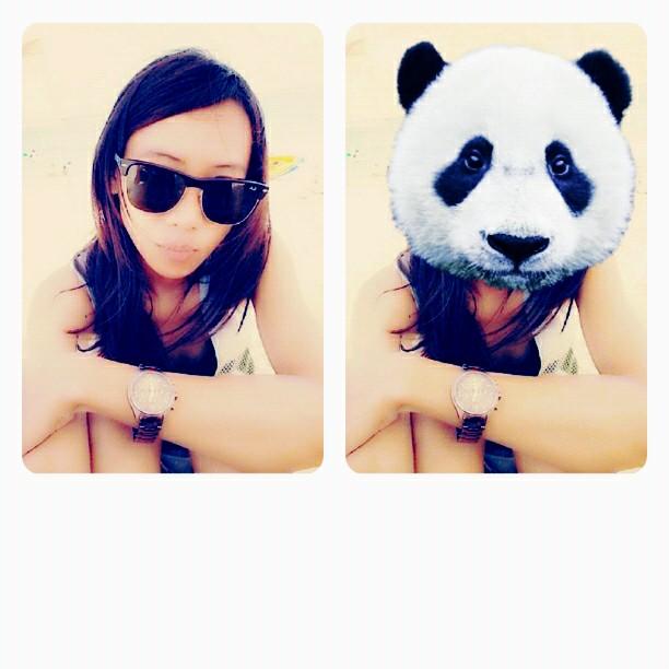 luiiliu's profile picture. Take it or Leave it !
