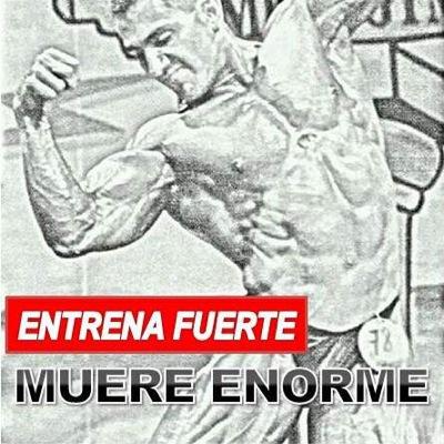 angelwbasurto's profile picture. Me encanta el Fisicoconstructivismo, fui Campeón Nacional en el 96 en 80 kgs. Voy al Gym todos los días, me gusta mantenerme en muy buena forma.