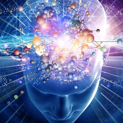 salinasrey's profile picture. 