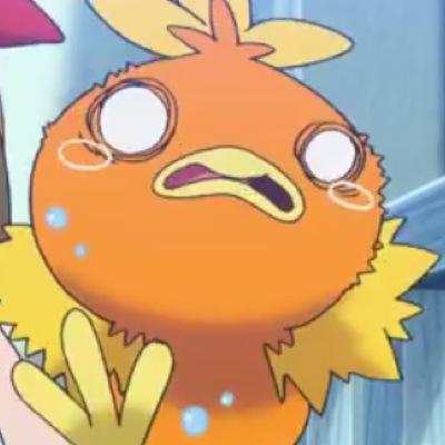 アチャモ Achamosan Bot Twitter アチャモ Achamosan Bot Twitter