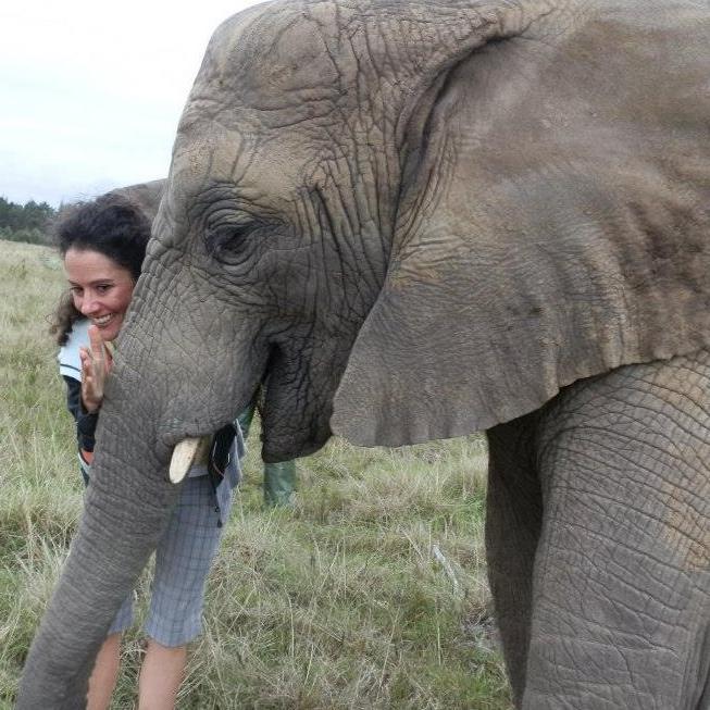 lisa_zoetu's profile picture. 