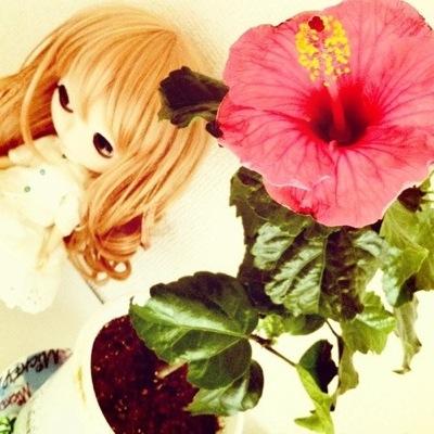 子育て中/恋リアと鈴木亮平とHANAがすき/デパコス💄も好き