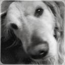 laura hammett - @hammettmi1 - Twitter