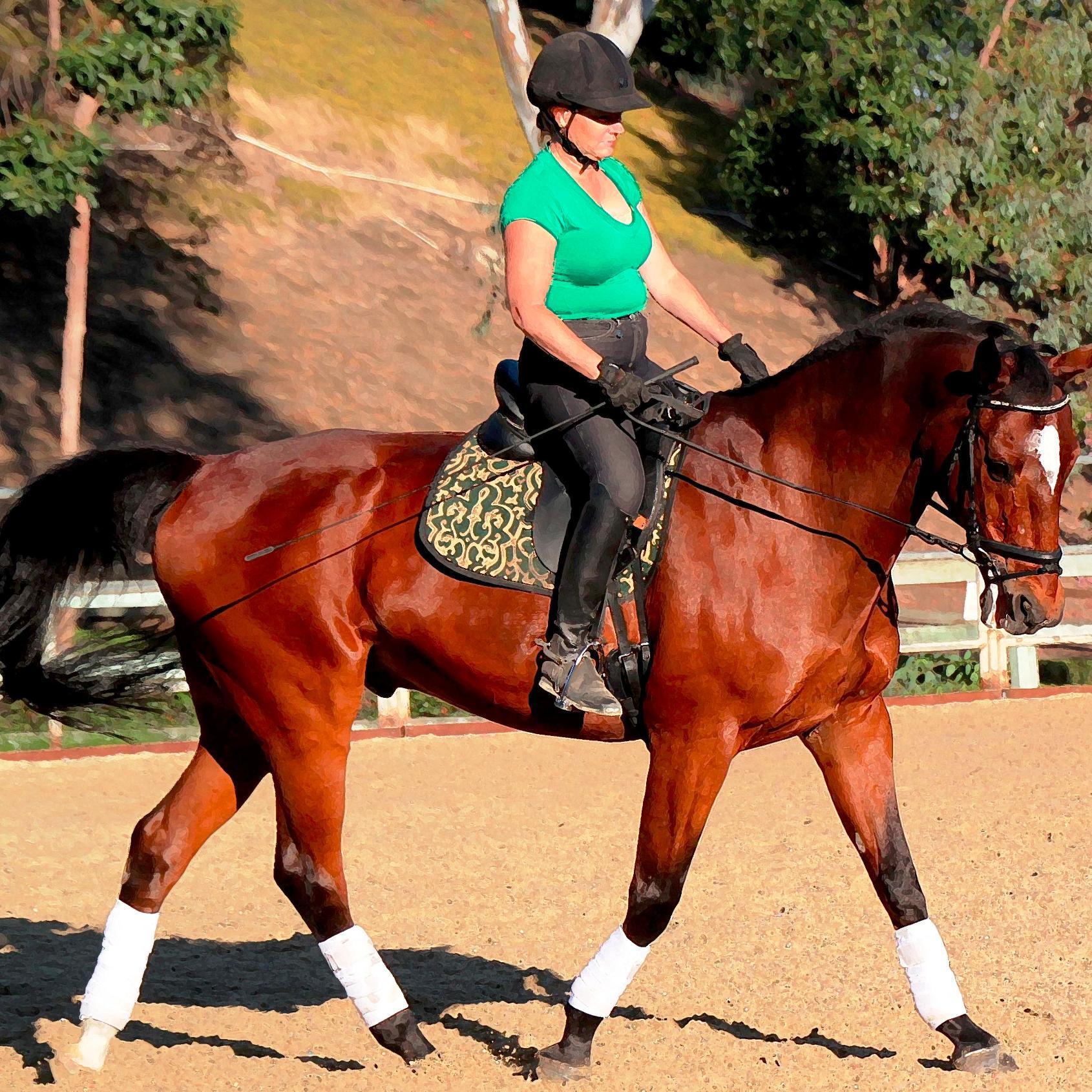 Talent Attraction, Engagement & Acquisition and Executive Search Professional + Dressage Rider