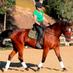 Carla Jordan (@idealldressage) Twitter profile photo