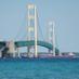 Travel the Mitten (@travelthemitten) Twitter profile photo