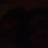 nnaa2662's profile image