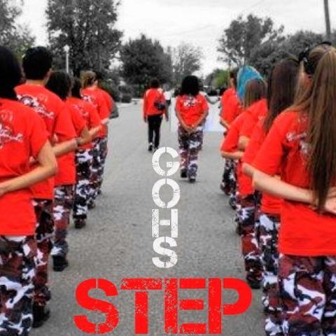 Great Oak High School Presents: The Great Oak Regional STEP OFF High School Competition
Saturday, Sept. 27th, 2014 @ 3pm
Top Prize $1500, 2nd $1000, 3rd $500