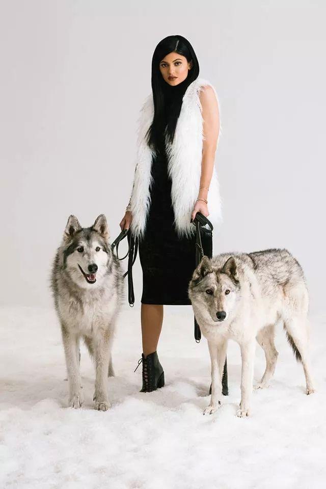 kylie_bea's profile picture. 