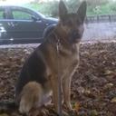 Jacques Didier - @IagoJacques - Twitter