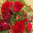 Umar Hameed - @Umarhameed143 - Twitter