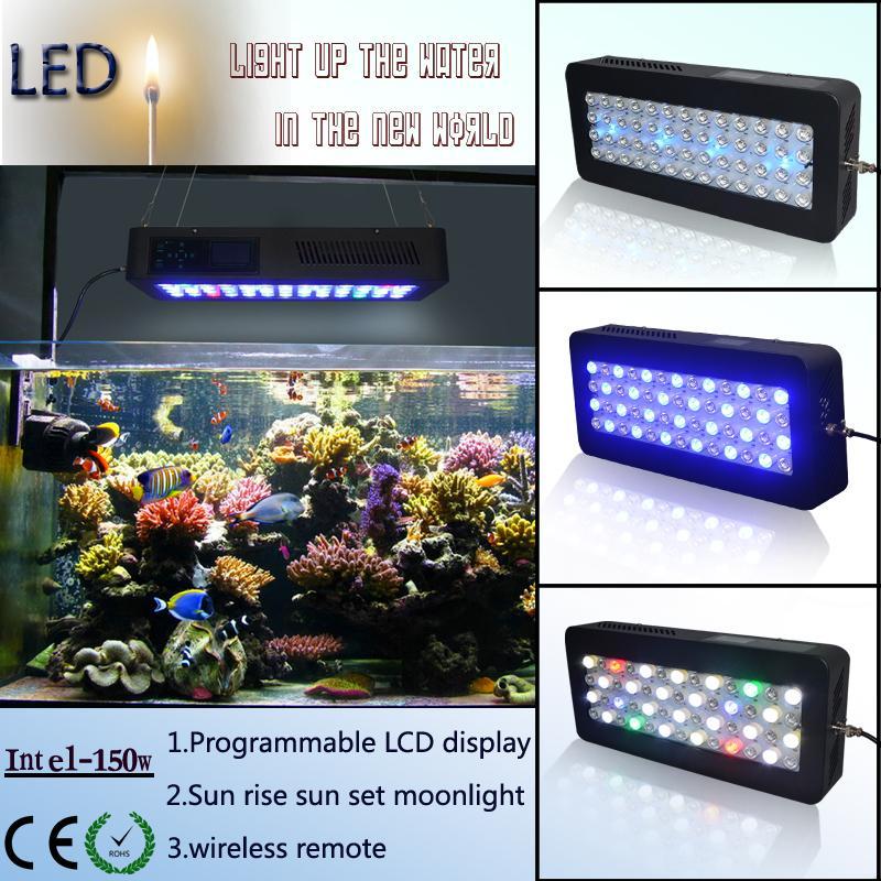 2351256010_anne's profile picture. Led Grow /Led Aquarium /Led Tube Light Manufacturing Company                              if you interested pls contact me.my email        anne-011@outlook.com.