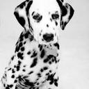 Arianna Carpenter - @EminemsWildlife - Twitter