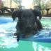 clodaghdog (@rtennant2603) Twitter profile photo clodaghdog (@rtennant2603) Twitter profile photo