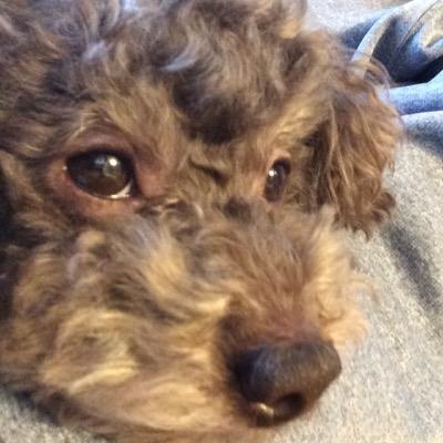 清風→慶應 文