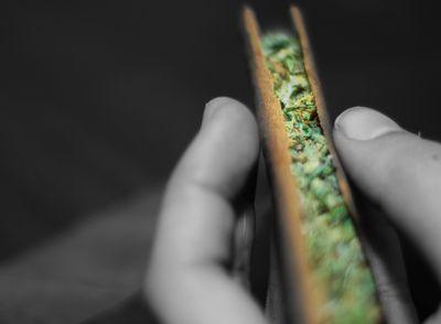 for the love of cannabis