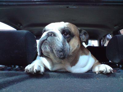 PCalow1's profile picture. 