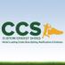 Custom Cricket Shoes (@cuscricketshoes) Twitter profile photo
