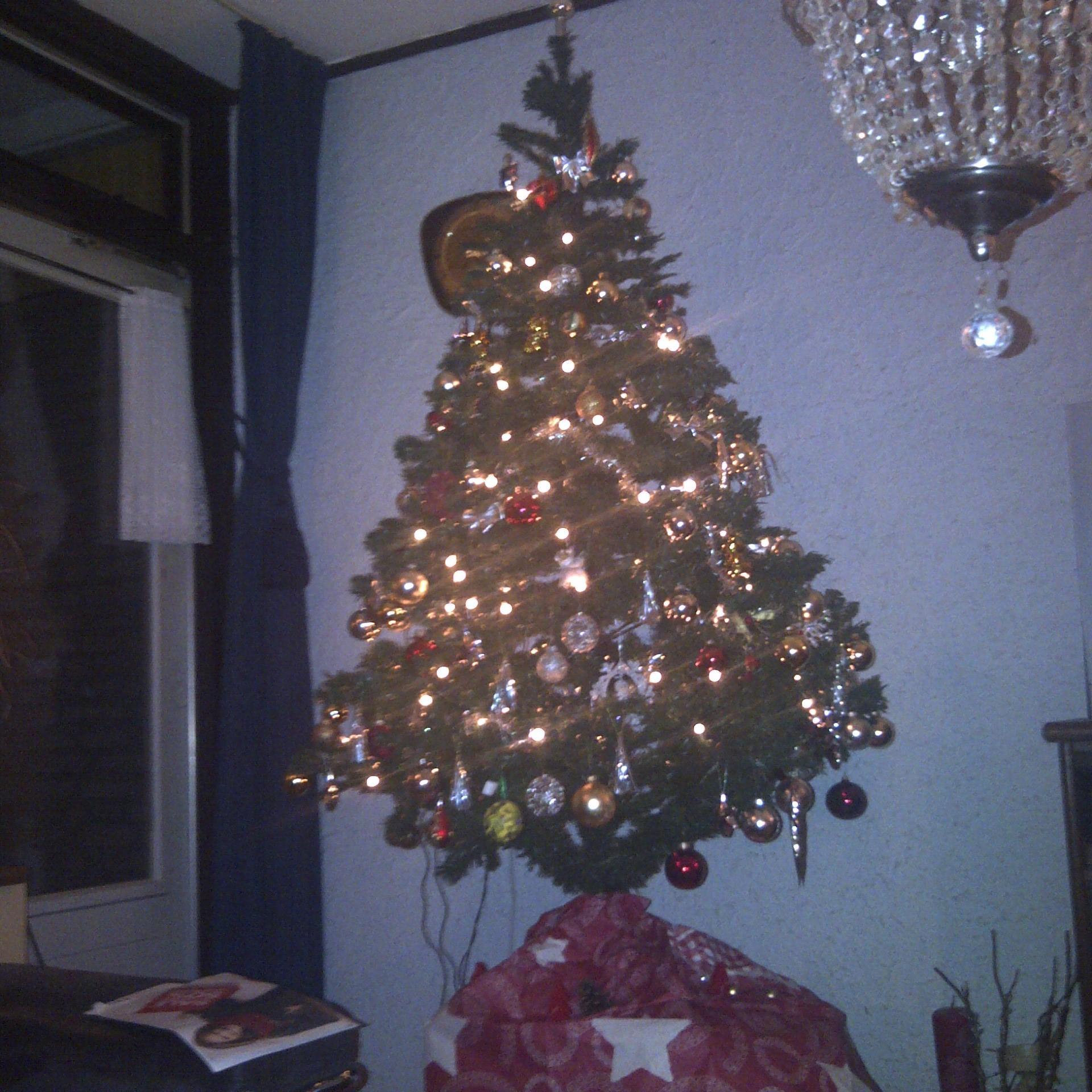 haventje's profile picture. 