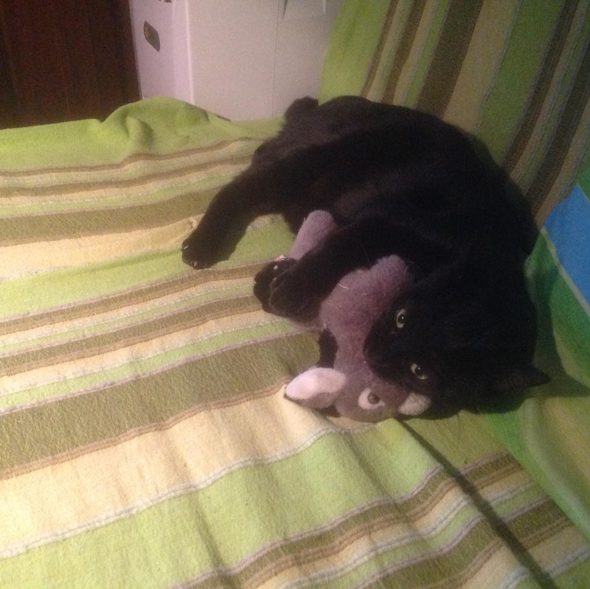 gianluigiperfe1's profile picture. 