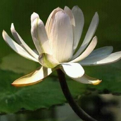 Delam_K's profile picture. 