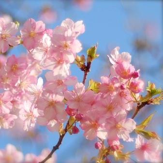 自己啓発なのか？セルフコーチングなのか？スピチュアルなのか？ ゴールを決めたら心が楽になりました。