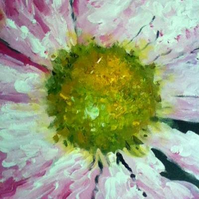 jasem959's profile picture. 