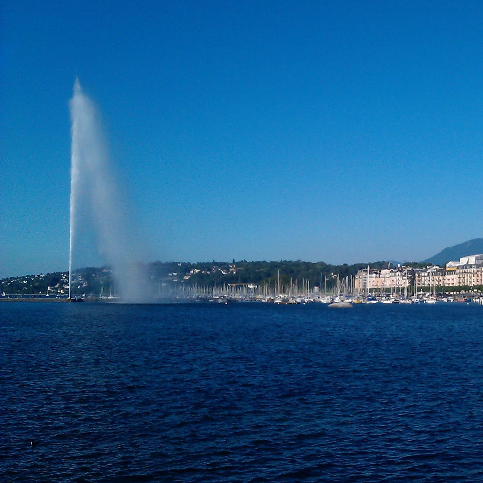 bdecourcelles's profile picture. 