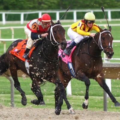 The best FREE horse racing tips .. Follow and the money will follow !