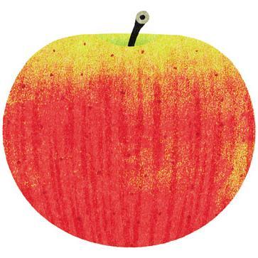 Bay Area Cider Enthusiasts, dedicated to growing the appreciation of hard cider in Northern California. Cider drinkers, makers, and retailers welcome. 21+