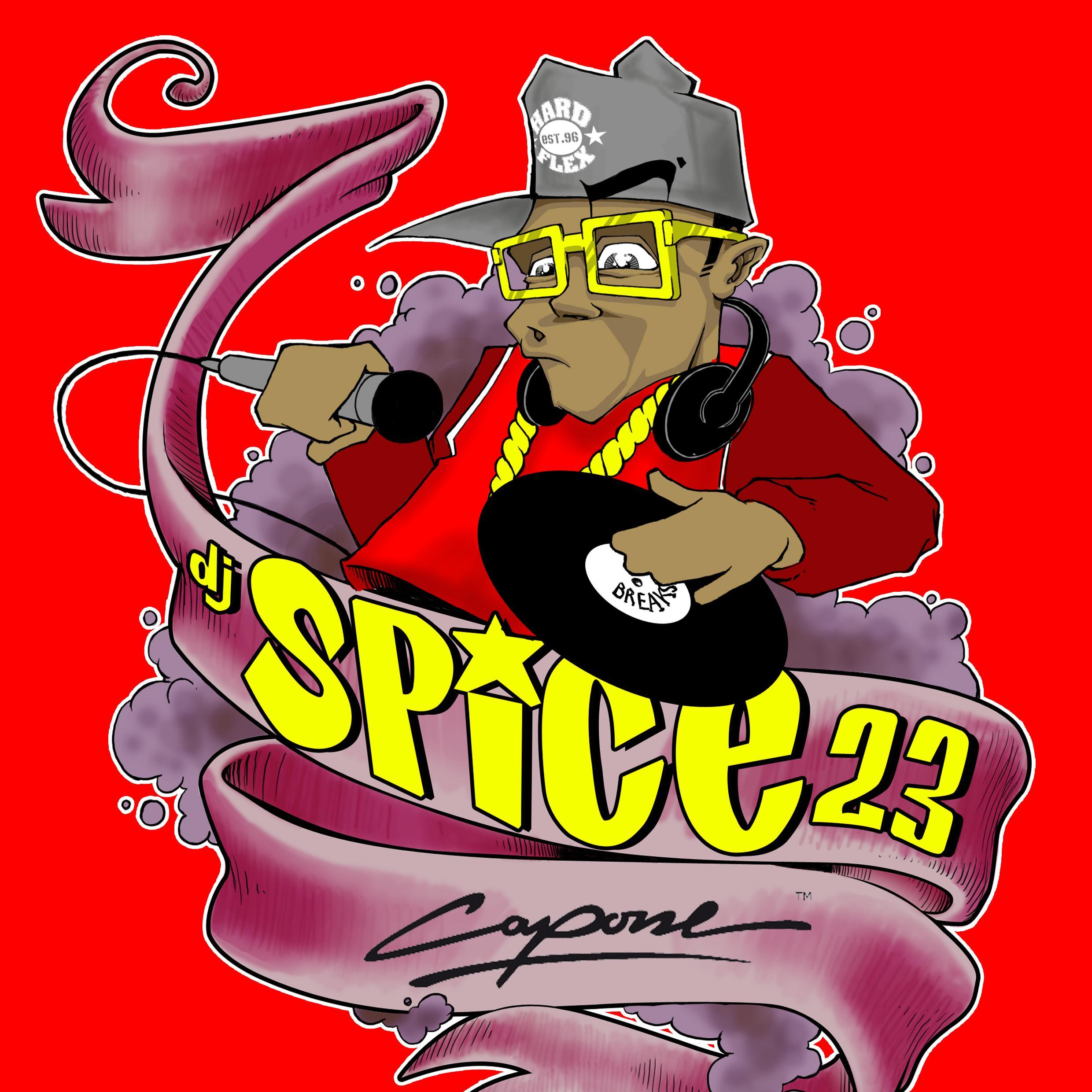 DjSpice23's profile picture. vinyl collector and crate digger since 1995, DJ since 2000, supported by Capone Clothing