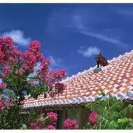 wubypex's profile picture. 