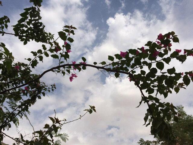 fofo27181130's profile picture. 