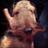 _genevieve_'s profile image