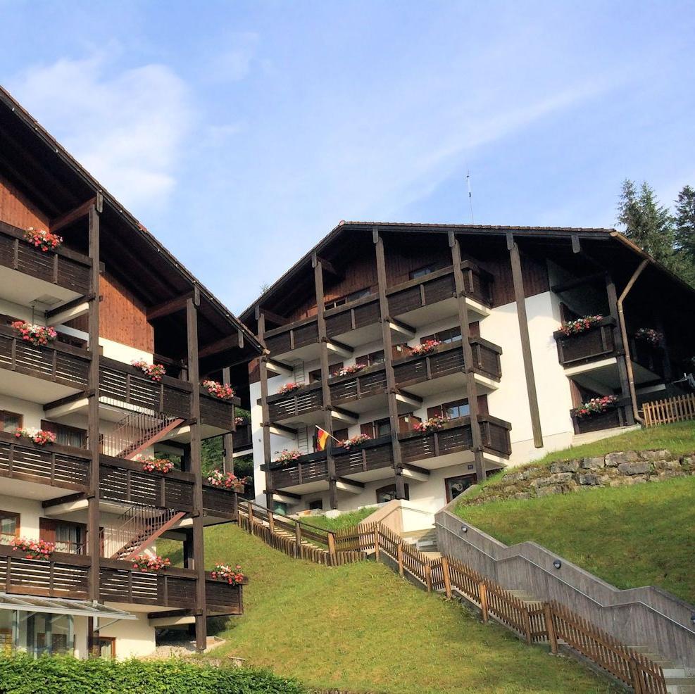 FeWo_BGL's profile picture. 