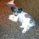 Bj Adams - @tinytot1963 - Twitter