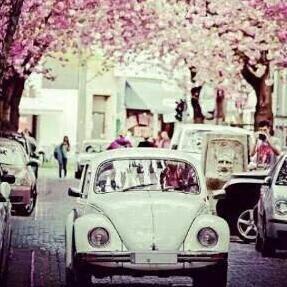 *¤♡Live youR€ Life ♡*¤