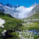 Felix Cano - @febrero1941pf - Twitter