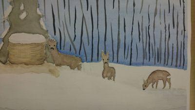 MajaSjostrom's profile picture. 