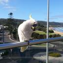 John MULLANEY - @ballyhanrick - Twitter