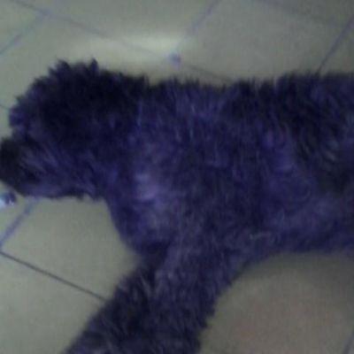 NicileC's profile picture. 