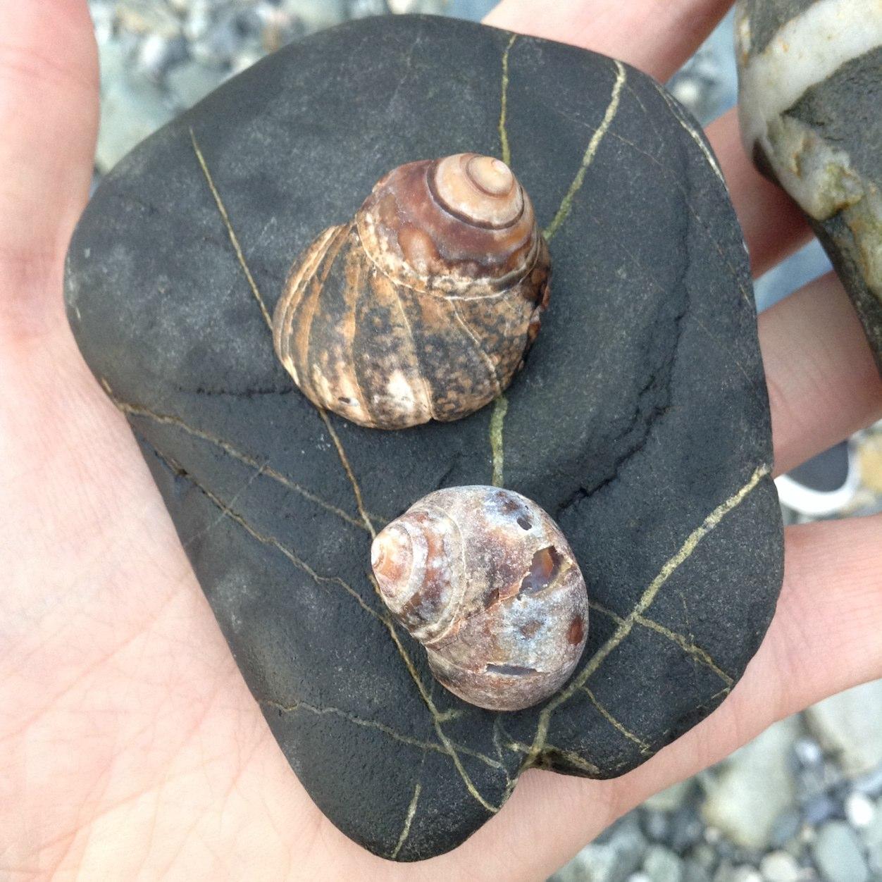 greenpathholist's profile picture. A safe haven for your deeper SELF Meditation, Holistic Mindset, stress-reduction and much more! FREE classes! Voiceandselflove@gmail.com