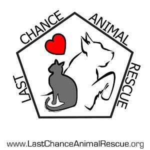 Last Chance is a no kill rescue, we save animals from more than 40 high-kill shelters across the region.  WE ARE PART OF THE CFC! CFC#69822
