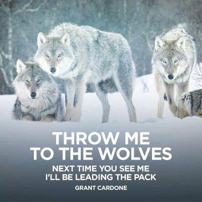 zaicev_roman's profile picture. 