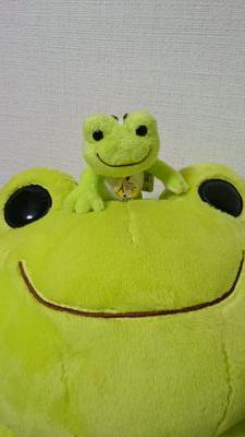 漫画とアニメ好き(偏食)。美術品と写真も。かえるのピクルス🐸💚 しがない社会人です。